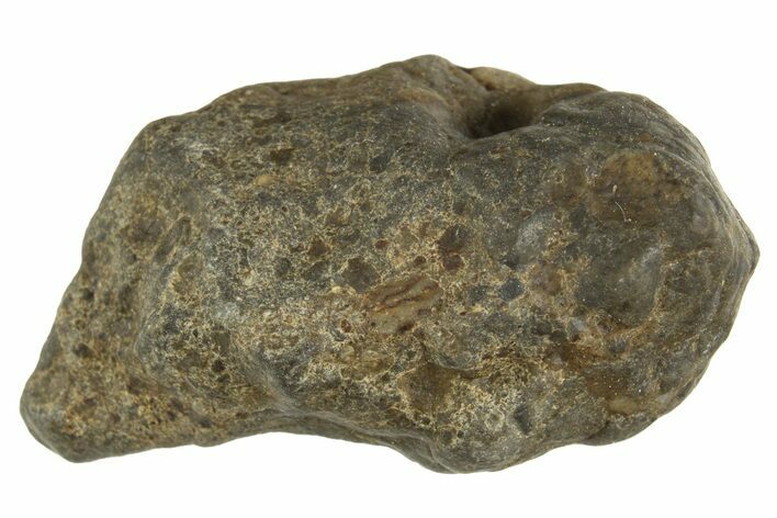 Lunar Meteorite ( g) - Laayoune #313144